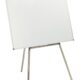 Whiteboard & Stainless Steel Easel